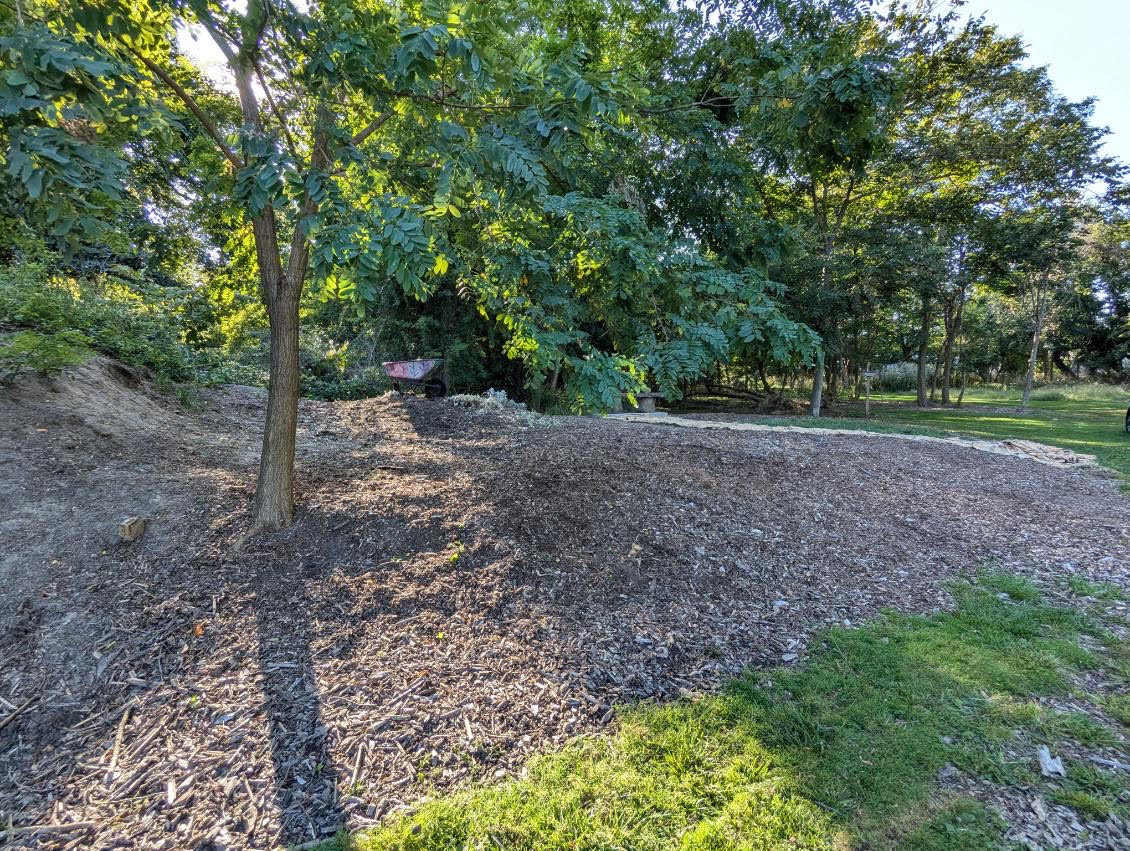 Jackson Woods Park before carbon garden installation