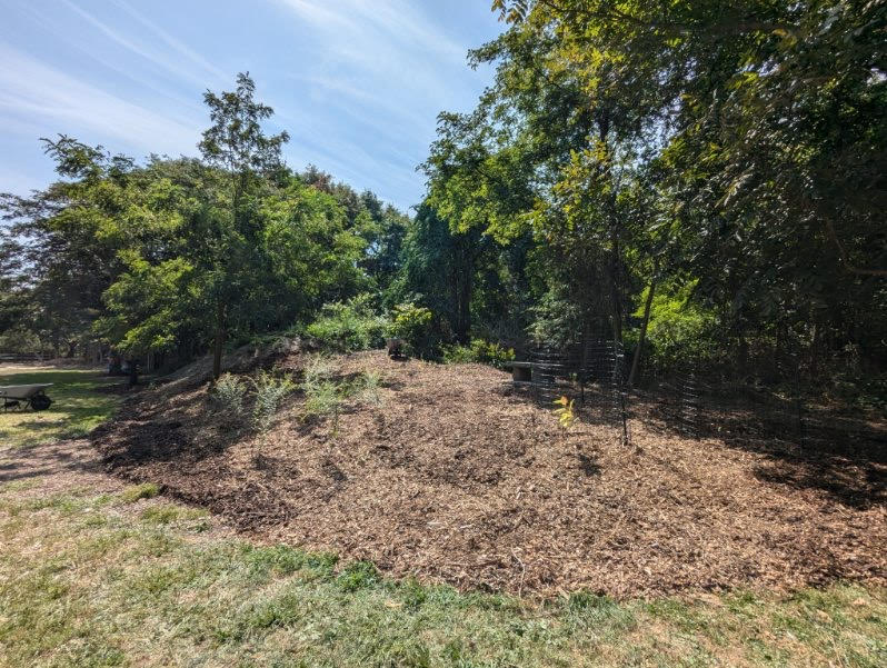 Jackson Woods Park after carbon garden installation